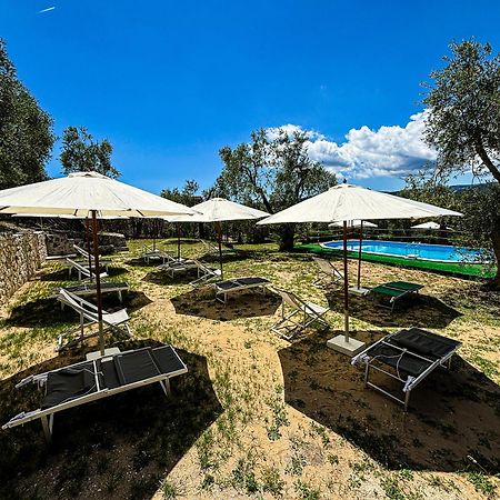 Valle Degli Ulivi B&B Vieste Ngoại thất bức ảnh