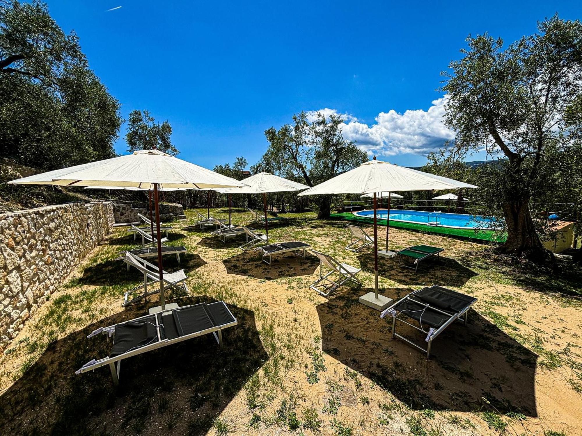 Valle Degli Ulivi B&B Vieste Ngoại thất bức ảnh